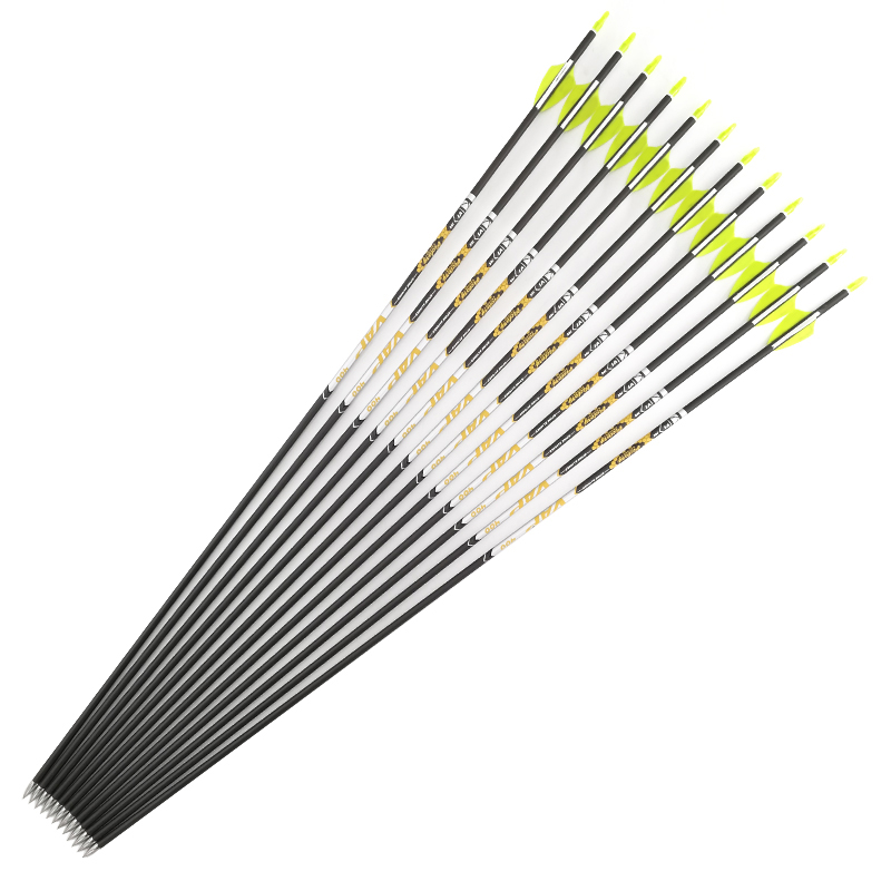 Archery Spine 350 400 450 500  - đánh giá và giá Hunting Bow Compound