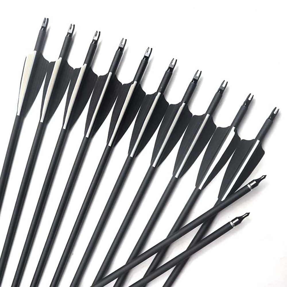 6/36pc Mixed Carbon Arrows 26— - đánh giá và giá Hunting Bow Compound
