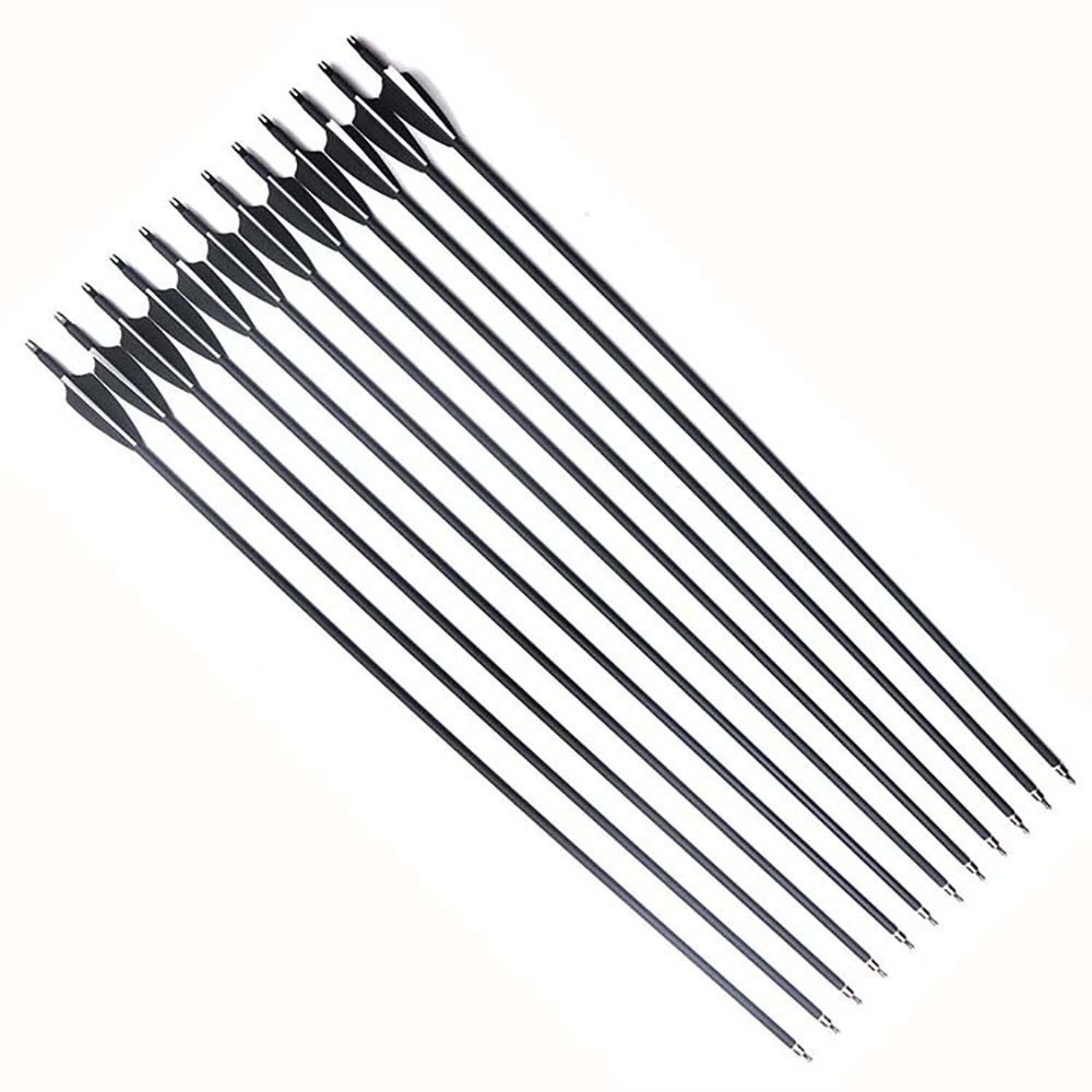 6/36pc Mixed Carbon Arrows 26— - đánh giá và giá Hunting Bow Compound
