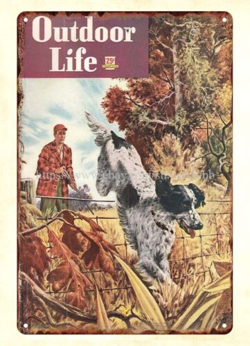 in home decor 1948 OUTDOOR LIF - đánh giá và giá Outdoor Hunting Dogs