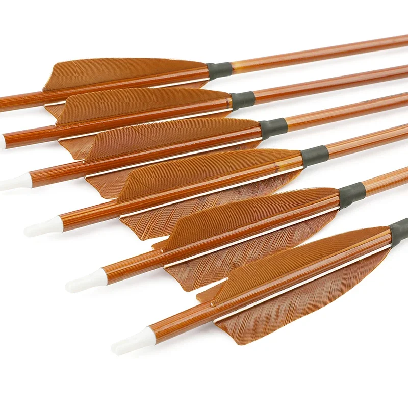 6/12pcs Mixed Carbon Arrows SP - đánh giá và giá Hunting Bow Compound