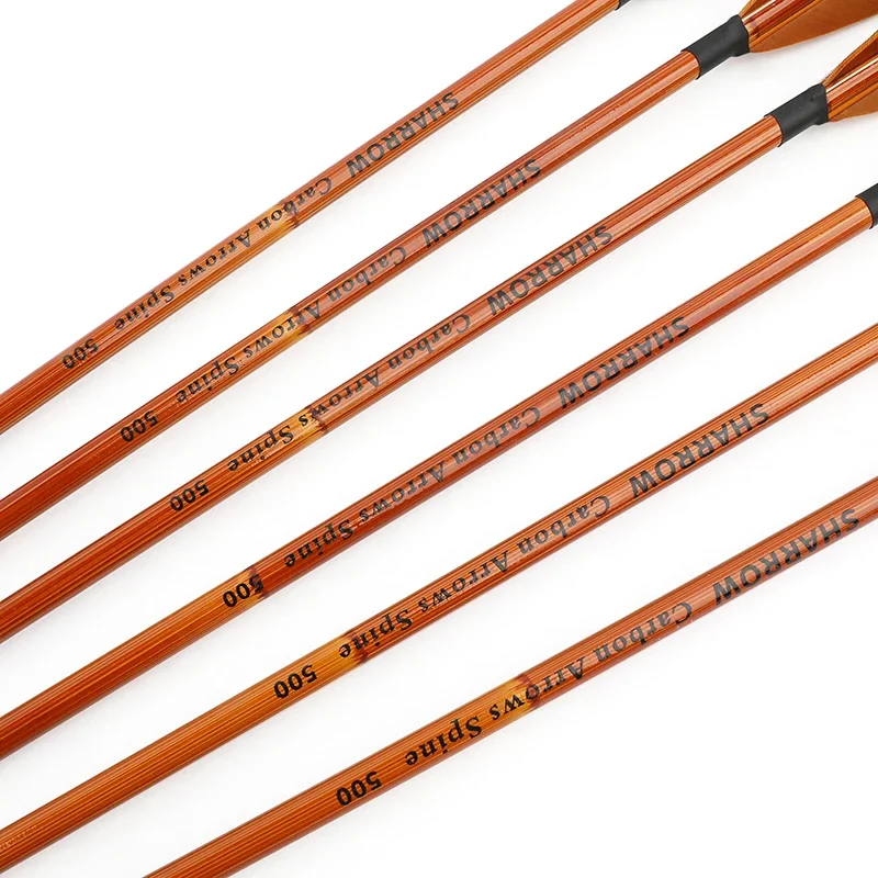 6/12pcs Mixed Carbon Arrows SP - đánh giá và giá Hunting Bow Compound