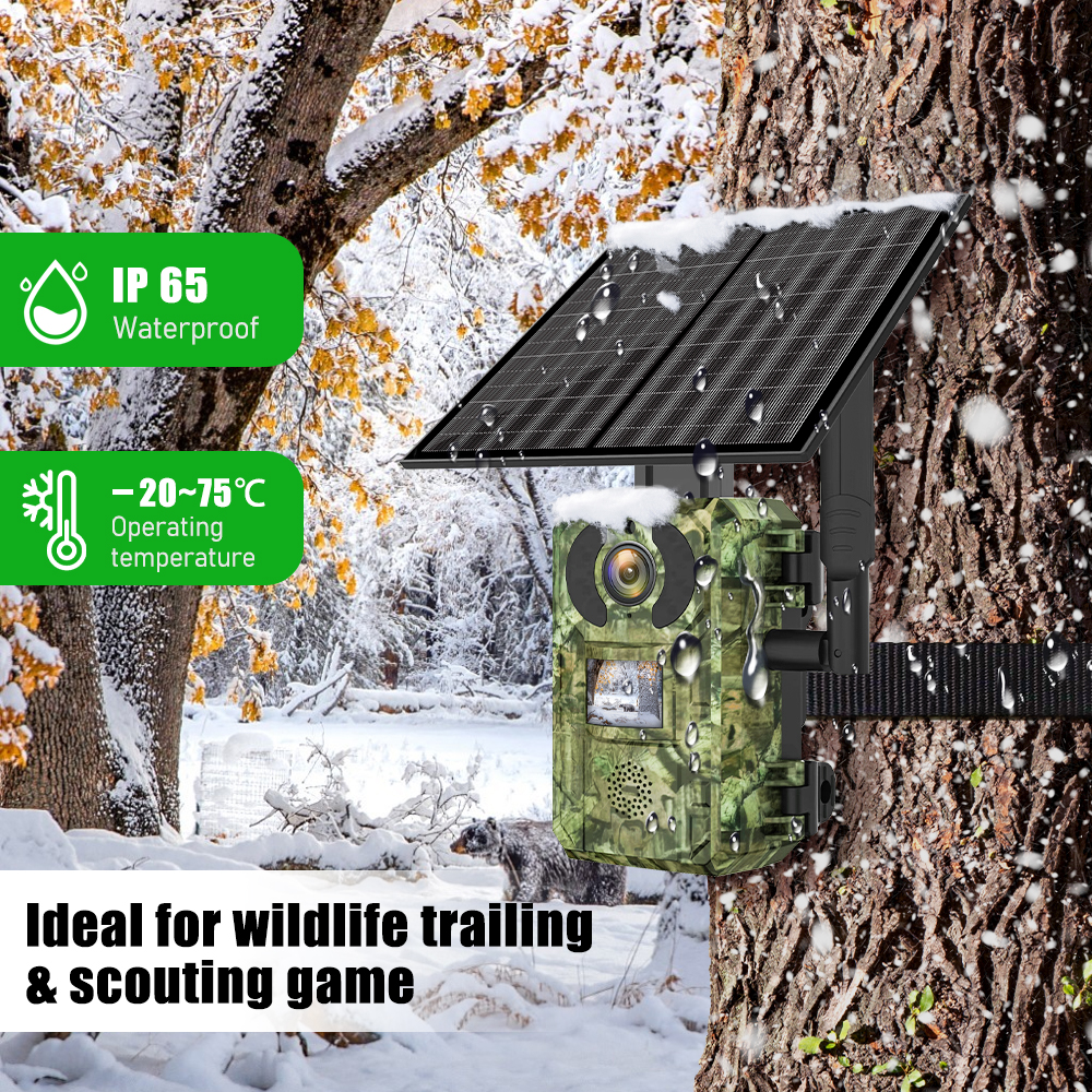 EU Band 4G Cellular LTE Live V - đánh giá và giá Hunting Outdoor Camera