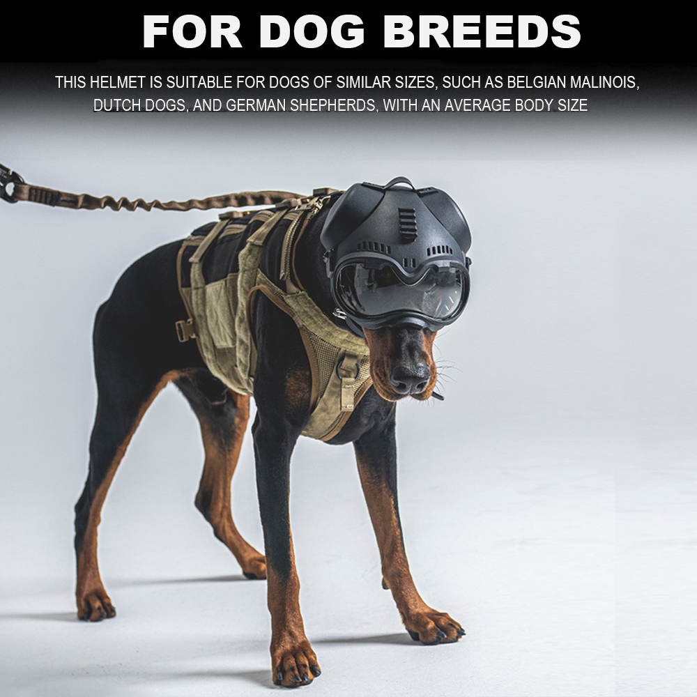 Tactical Dog Outdoor Hunting T - đánh giá và giá Outdoor Hunting Dogs