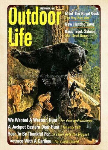 office wall decor 1967 Outdoor - đánh giá và giá Outdoor Hunting Dogs