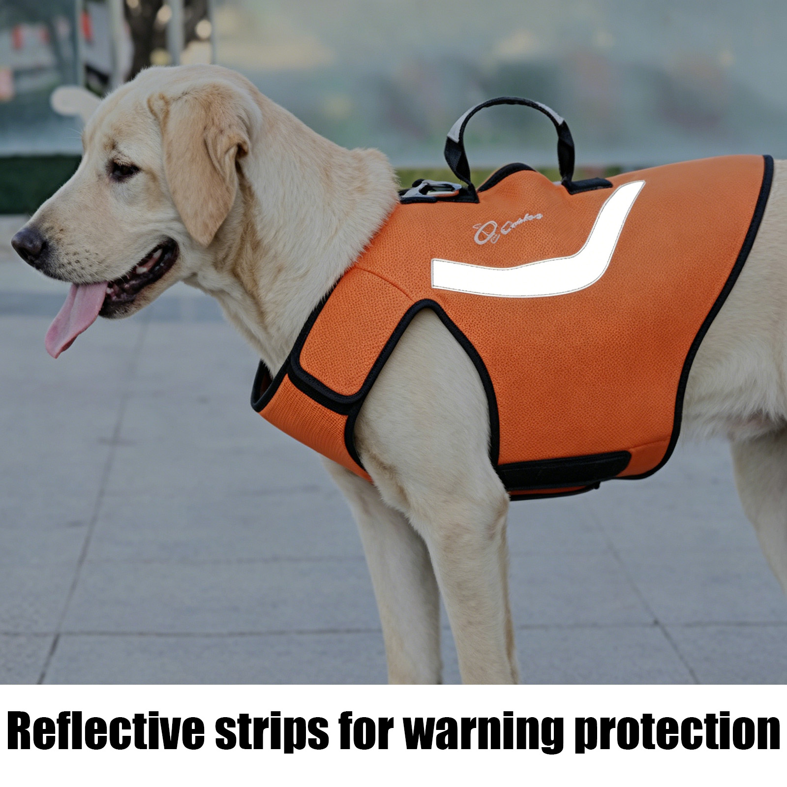Camouflage Hunting Dog Clothes - đánh giá và giá Outdoor Hunting Dogs