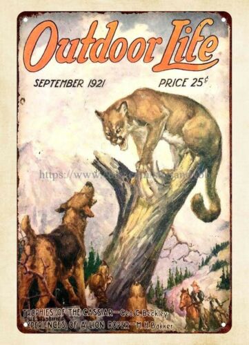 buy wall 1921 OUTDOOR LIFE mag - đánh giá và giá Outdoor Hunting Dogs