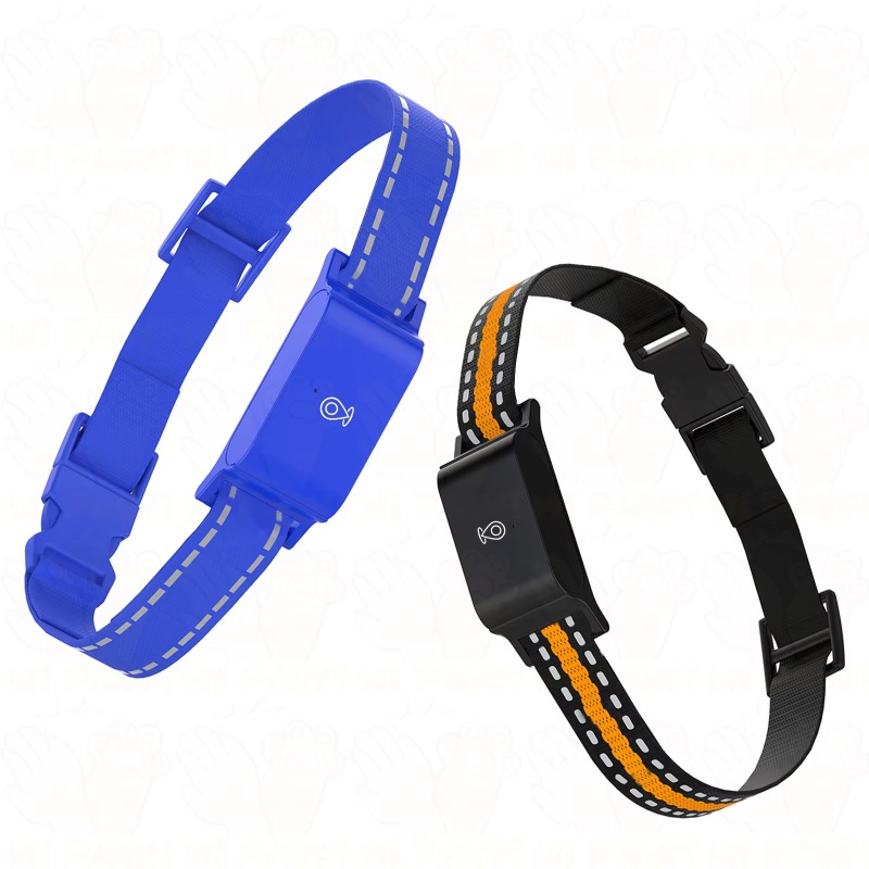 Dog GPS Tracker Outdoor Campin - đánh giá và giá Outdoor Hunting Dogs