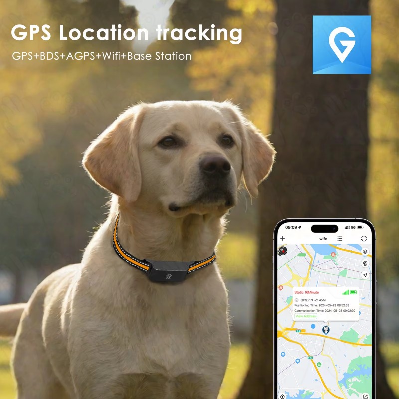 Dog GPS Tracker Outdoor Campin - đánh giá và giá Outdoor Hunting Dogs