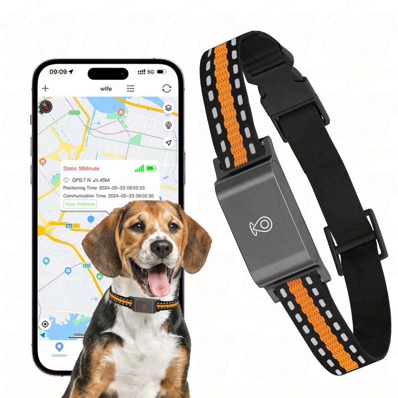 Dog GPS Tracker Outdoor Campin - đánh giá và giá Outdoor Hunting Dogs